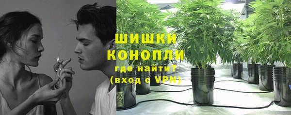 крисы Абдулино