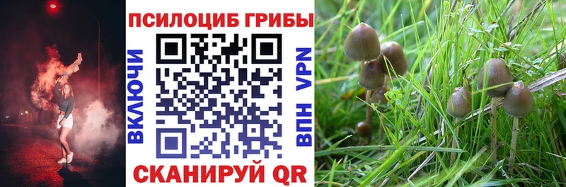 Псилоцибиновые грибы мицелий  Власиха 